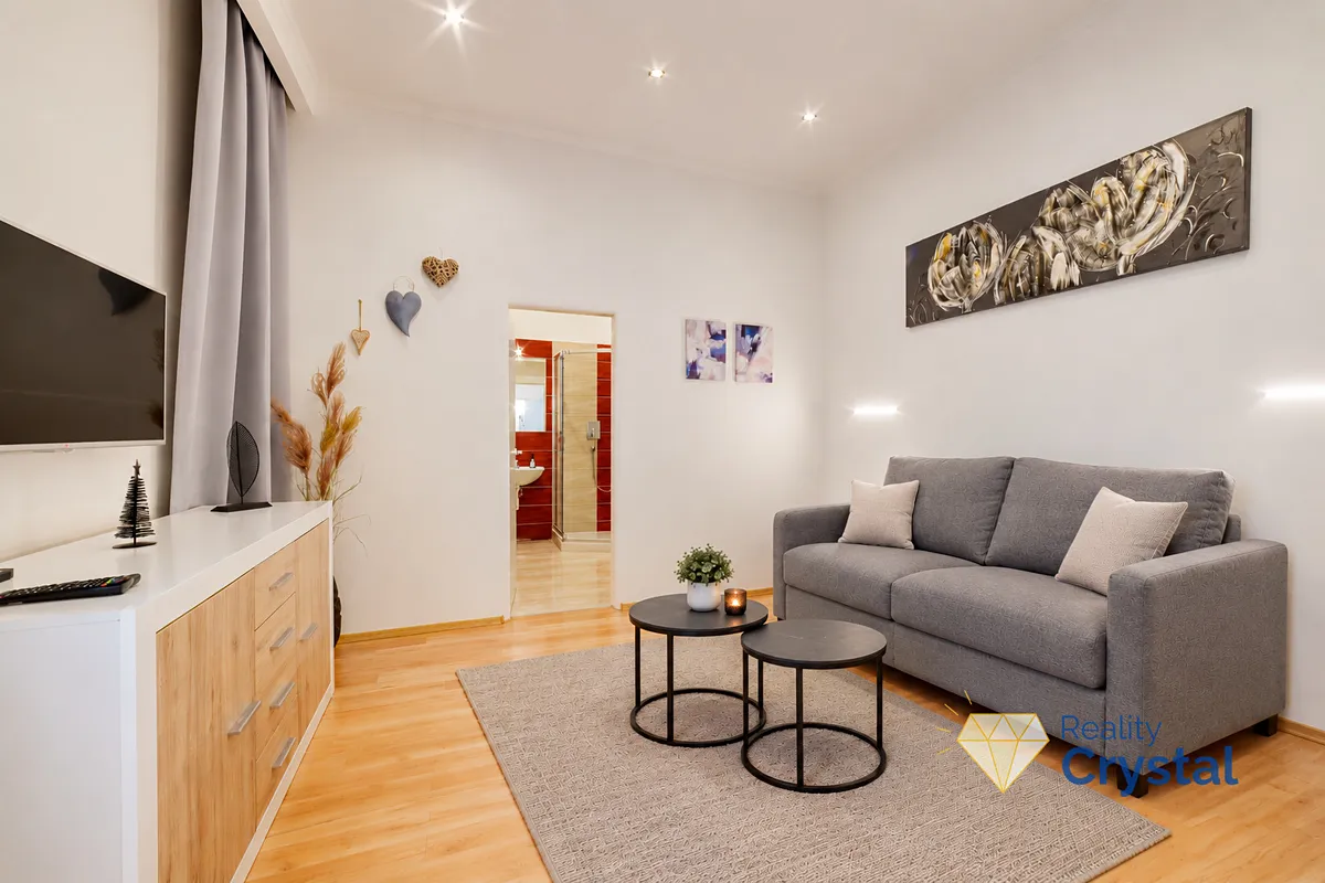 Pronájem bytu 1+1 40 m²